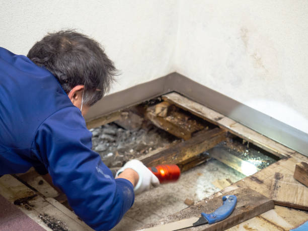 Best Mold Testing  in Garfield, TX