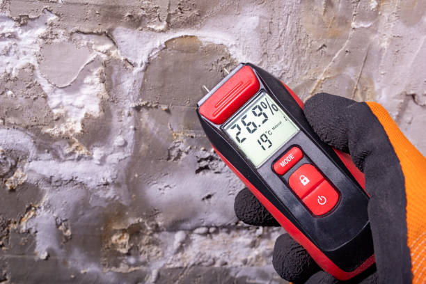 Best Best Mold Removal Companies  in Garfield, TX