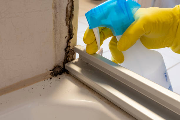 Best Mold Damage Repair  in Garfield, TX