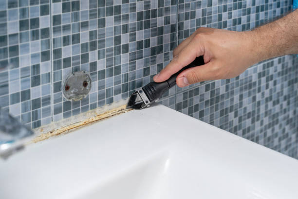 Best Toxic Mold Removal  in Garfield, TX