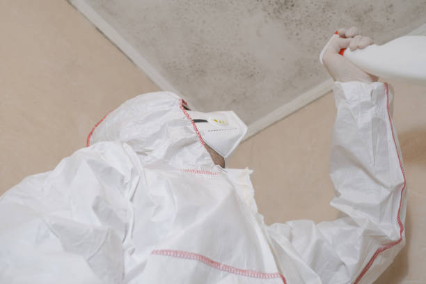 Best Crawl Space Mold Removal  in Garfield, TX