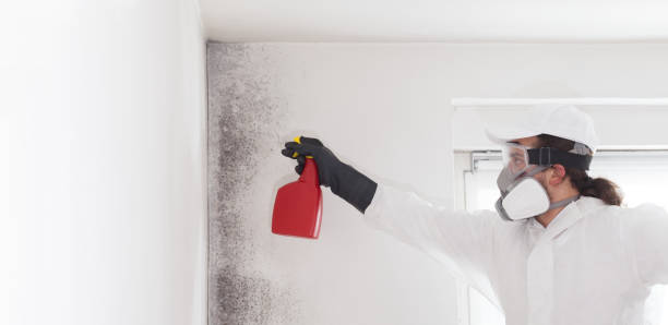Best Mold Cleaning Services  in Garfield, TX