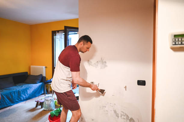 Best Same-Day Mold Removal  in Garfield, TX