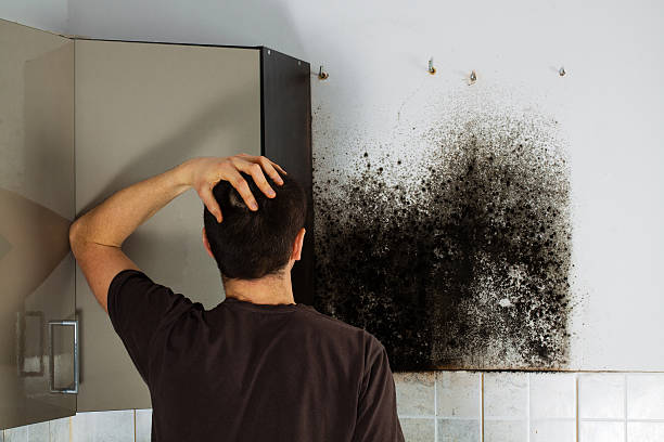 Best Water Damage Restoration  in Garfield, TX