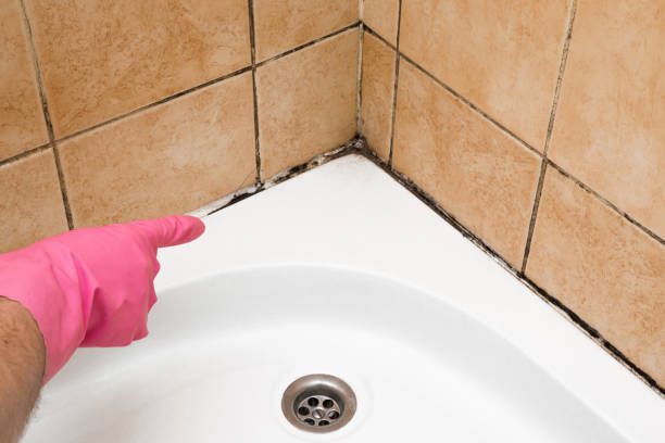 Garfield, TX Mold Removal Company
